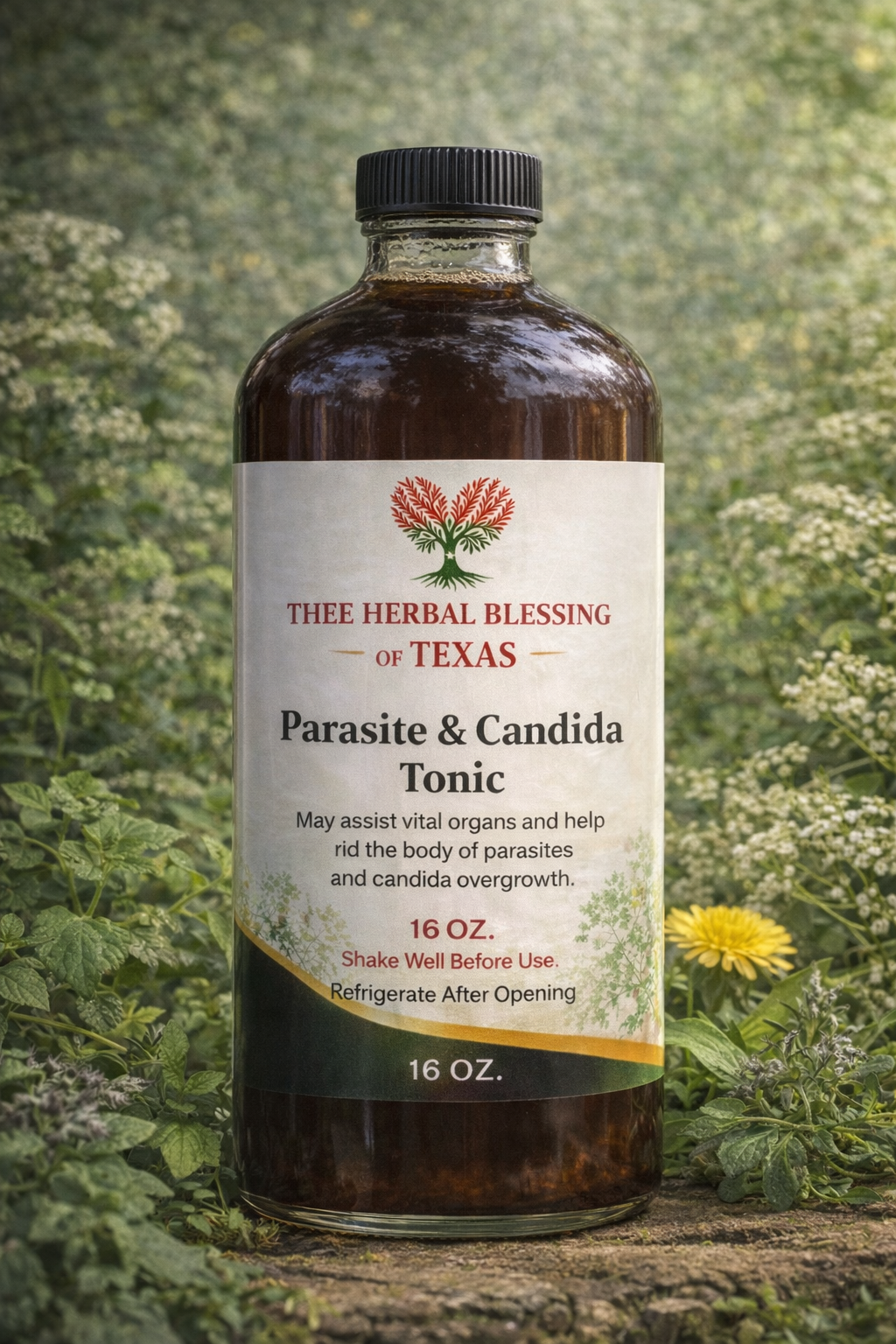 Anti-Viral Repair Package