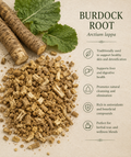 Burdock Root (1 oz)