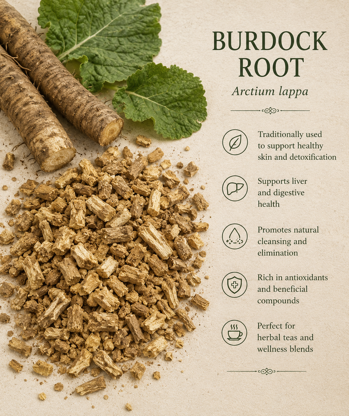 Burdock Root (1 oz)