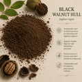 Black Walnut Hull Powder (1 oz)