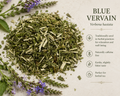 Blue Vervain (1 oz)