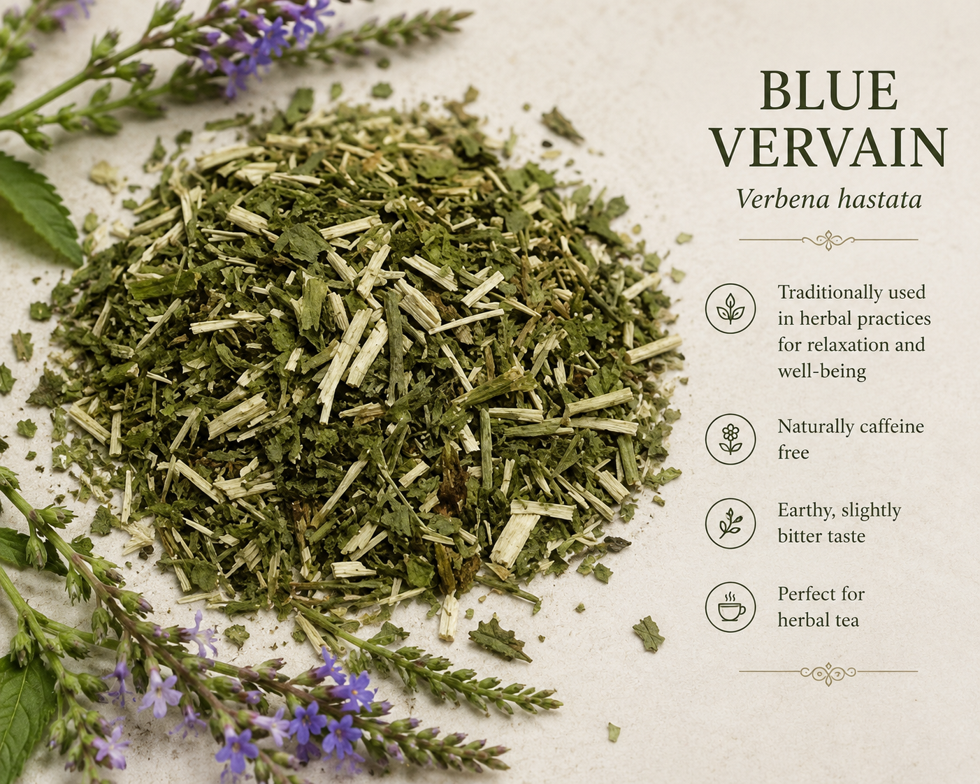 Blue Vervain (1 oz)