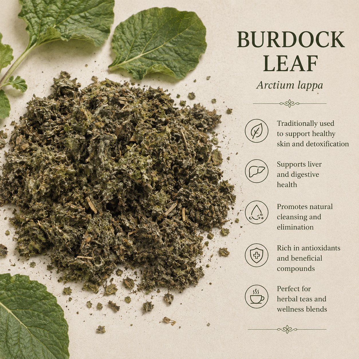 Burdock Leaf (1 oz)