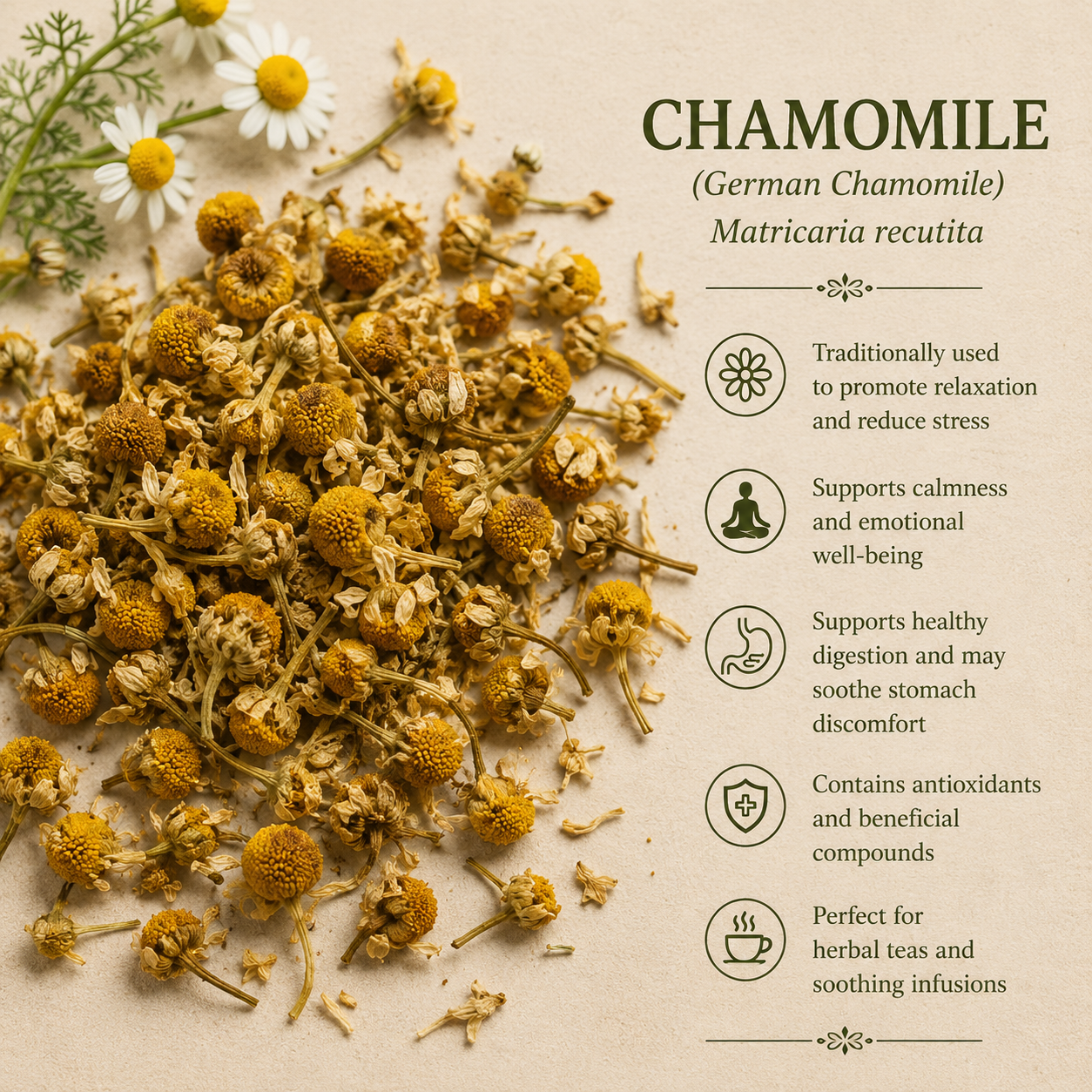 Chamomile Whole  (1 oz)
