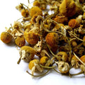 Chamomile Whole  (1 oz)