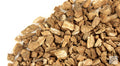 Burdock Root (1 oz)